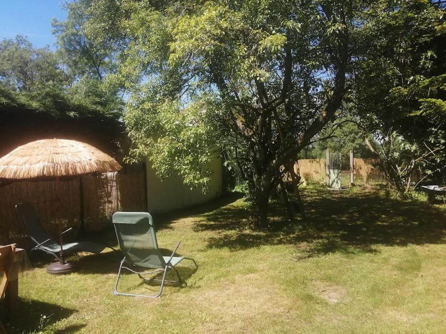 סנט-אברטין Maison " Bouton D'Or" Au Bord De L'Eau, A 10 Mn De Tours , Meuble Classe Une Etoile מראה חיצוני תמונה