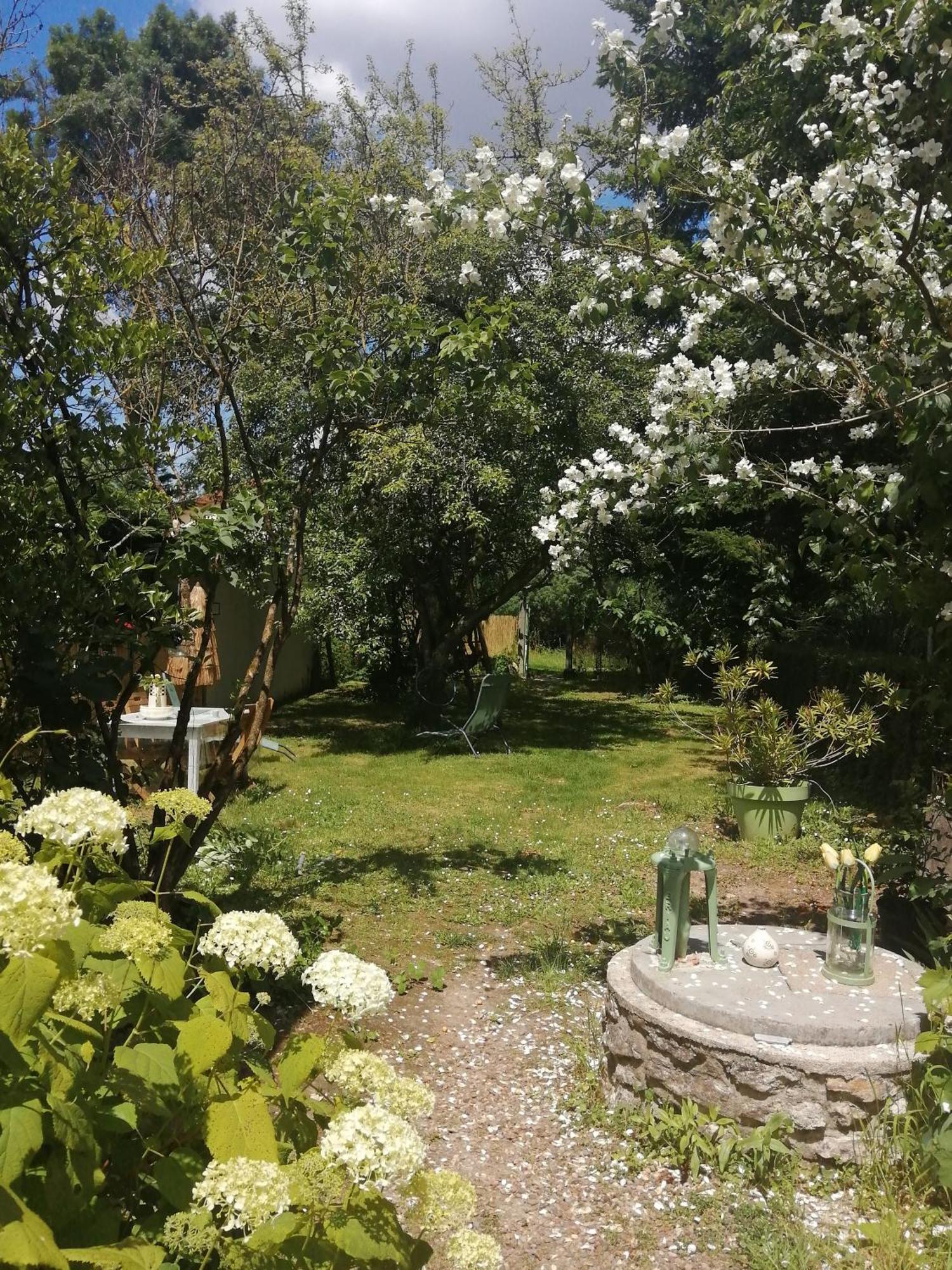 סנט-אברטין Maison " Bouton D'Or" Au Bord De L'Eau, A 10 Mn De Tours , Meuble Classe Une Etoile מראה חיצוני תמונה